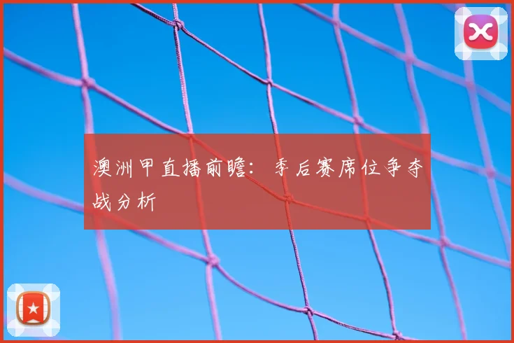 澳洲甲直播前瞻：季后赛席位争夺战分析